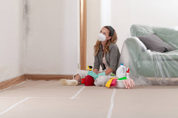 Reliable Mold Cleanup contractor in Clayton, NJ by Cheap Mold Removal
